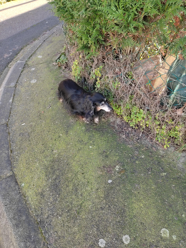 [Image: IMG-20230227-162146.jpg]