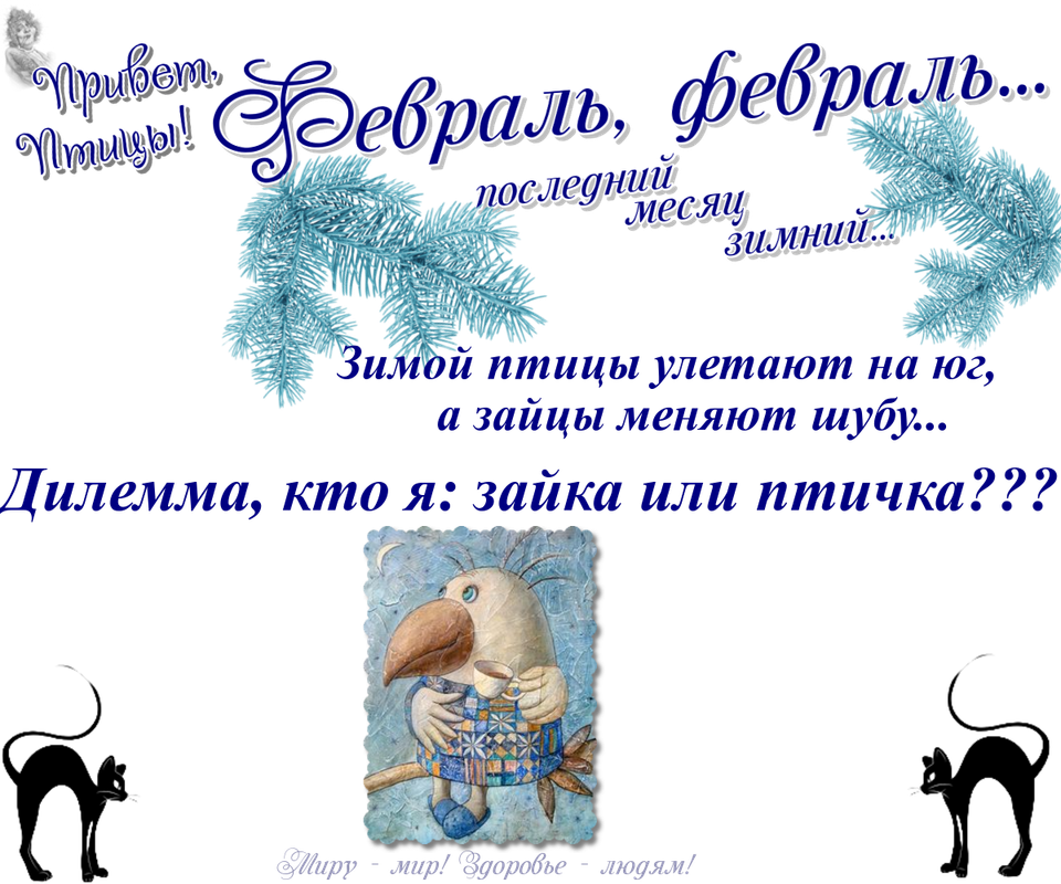 https://i.postimg.cc/NjjMWNVC/07-02.png