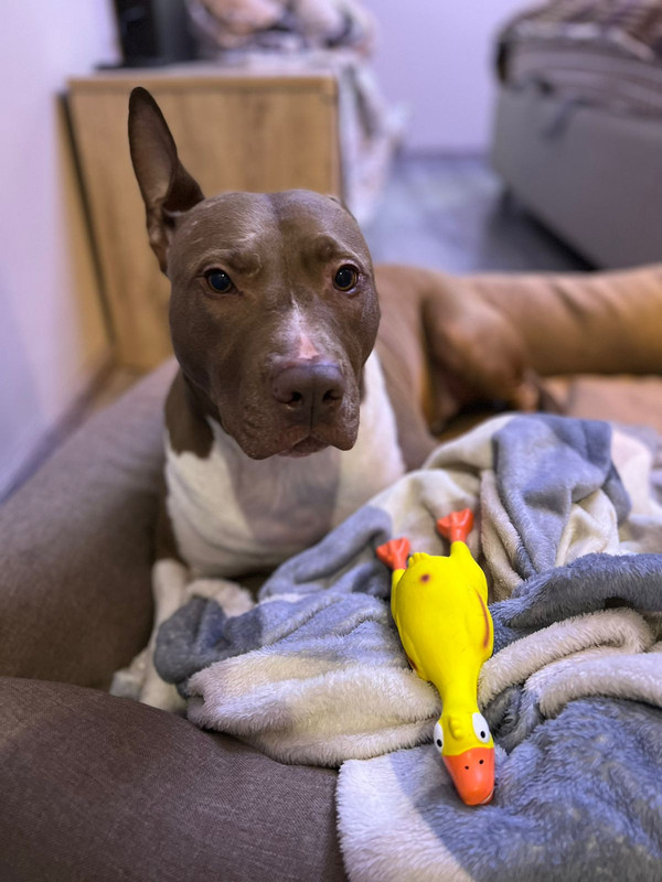 72EF7106-0B27-4C41-AD5A-8F25EAFA1BFB