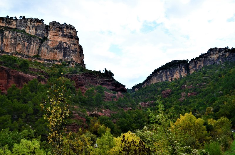 SIURANA-4-11-2016 - Tarragona y sus pueblos-2016 (6)