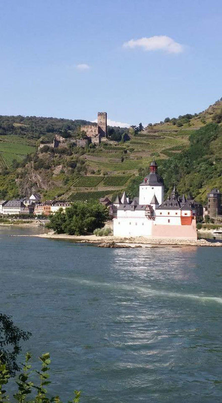 FB_IMG_1471466429665