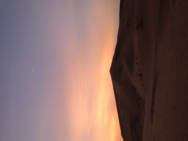 50A32802-600A-4353-825F-B69D7E2818C6