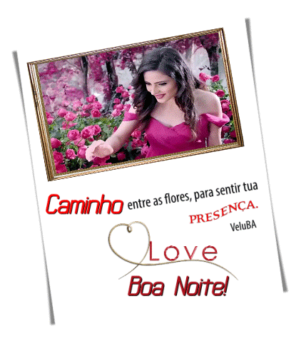 NOVOS537-MB-maryluz.gif