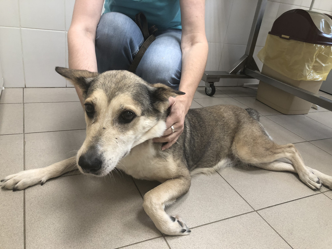 04E0A994-5460-4D58-8650-1FF5DEFF73F9