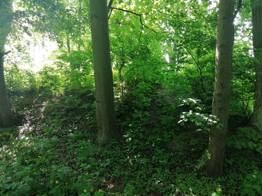 09.10 - IMG_20210604_094924 (Czesio1)