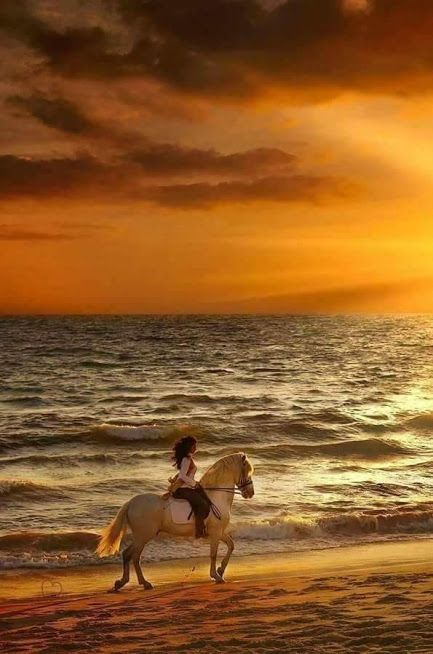orangewomanhorsebeach.jpg