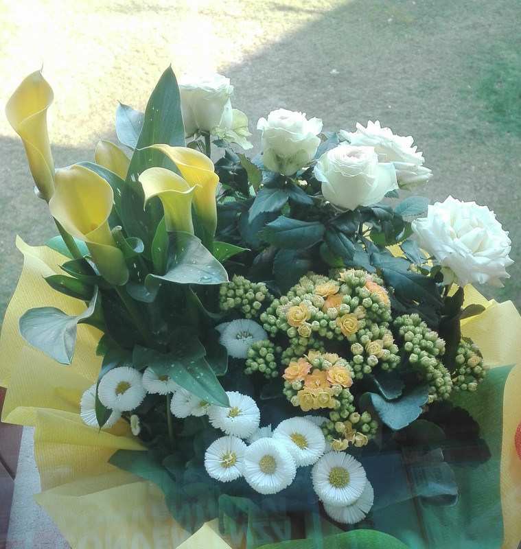 IMG_20220327_092204 (2)