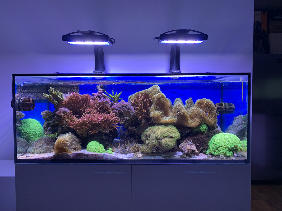 B49FE0A0-215D-4E90-B4CD-9791516246C2