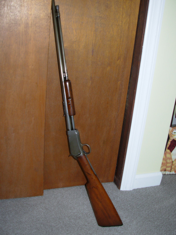Winchester 1906 .22LR     2