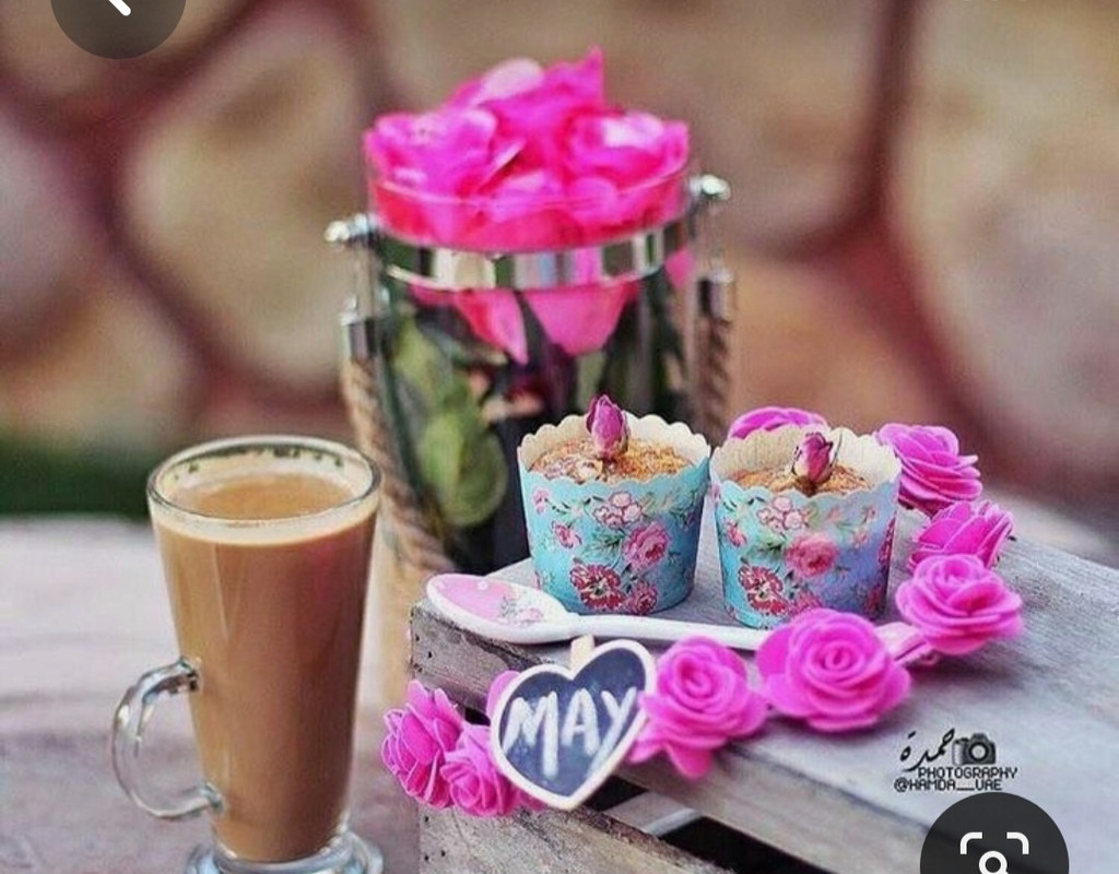 Screenshot_20230511_232908_Pinterest