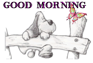 GM-dog-fence-morning