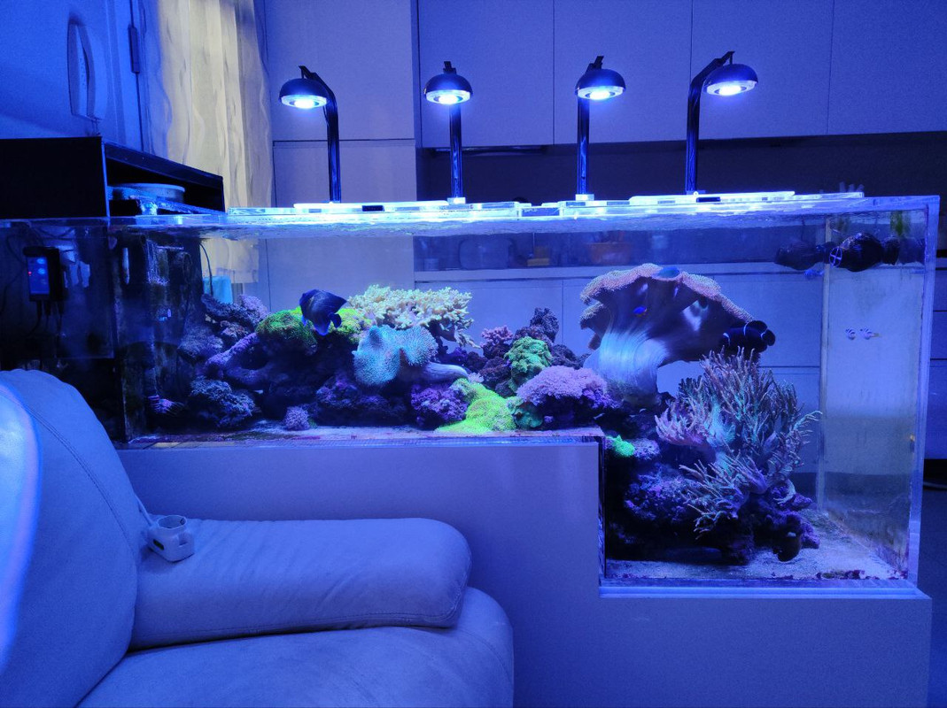 4657C145-42B6-4F1F-8889-AC70CE73547D