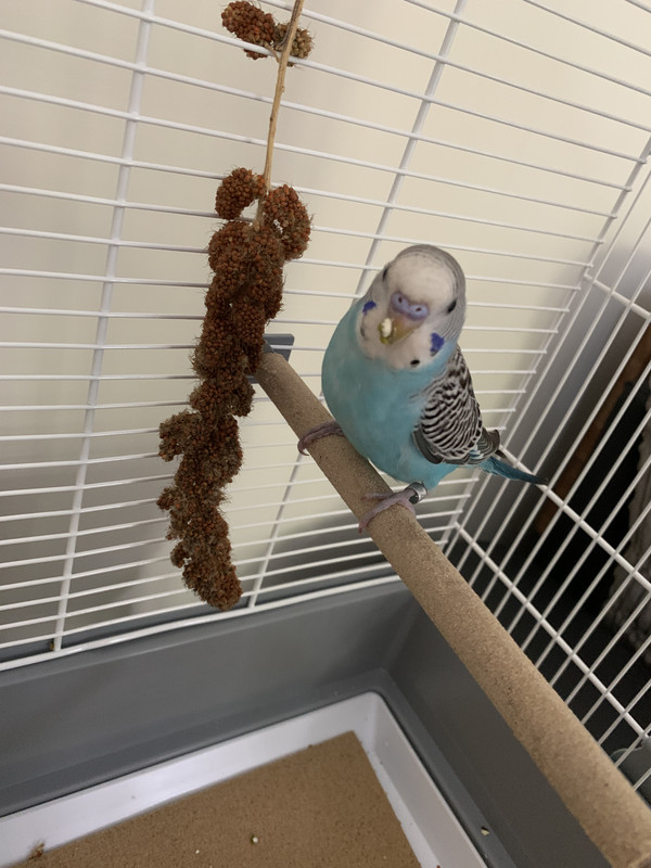 AB8C17AA-0965-40EC-9C0F-5D691B2B1A69