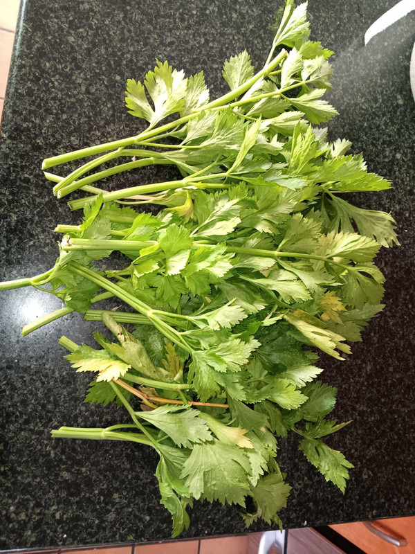 0-02-01-d73b4417d3767434bdabe5c4eda914331cfaa03049bd764e619ea4b5c79667c9-f70a43b18eacd693