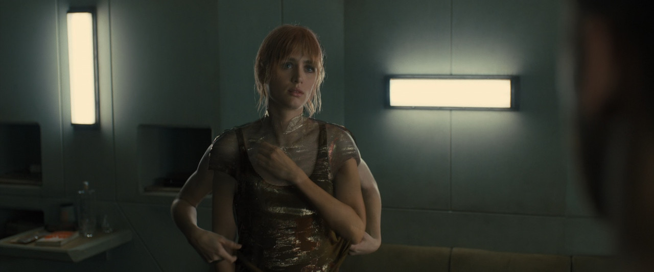 Blade Runner 2049 2017 (1080p x265 10bit Tigole).mkv_snapshot_01