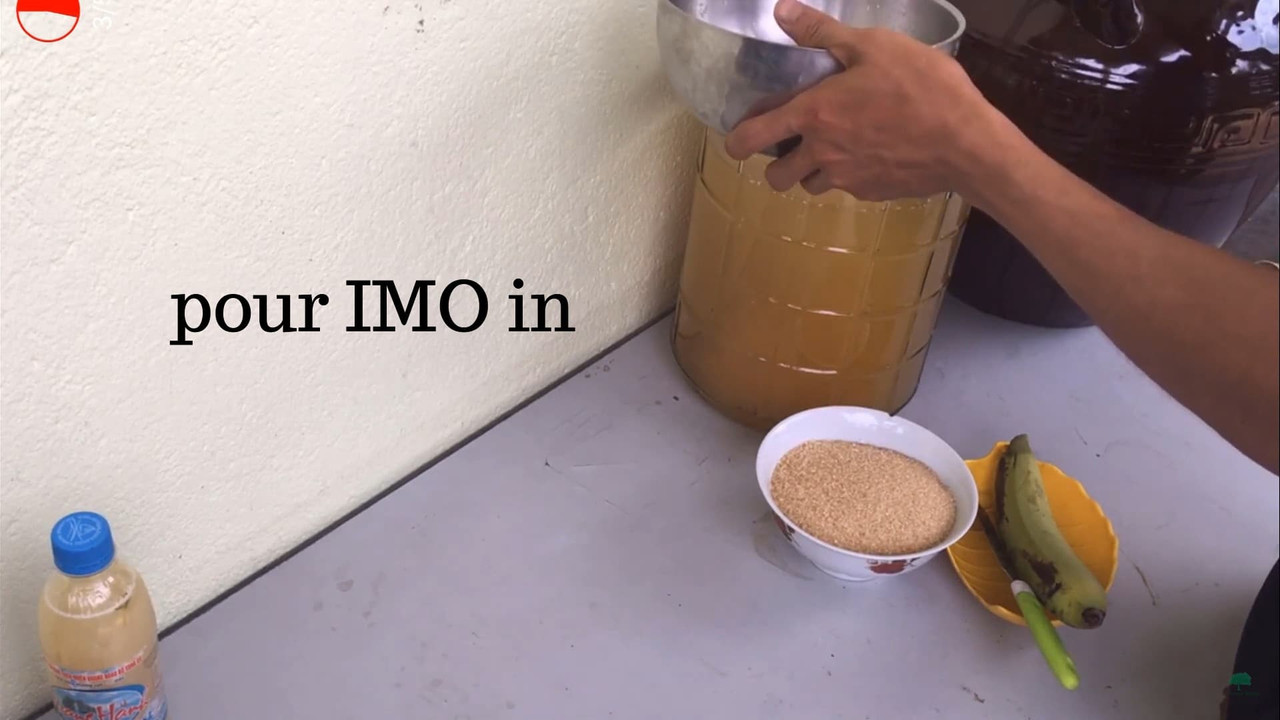 pour-imo-in.jpg
