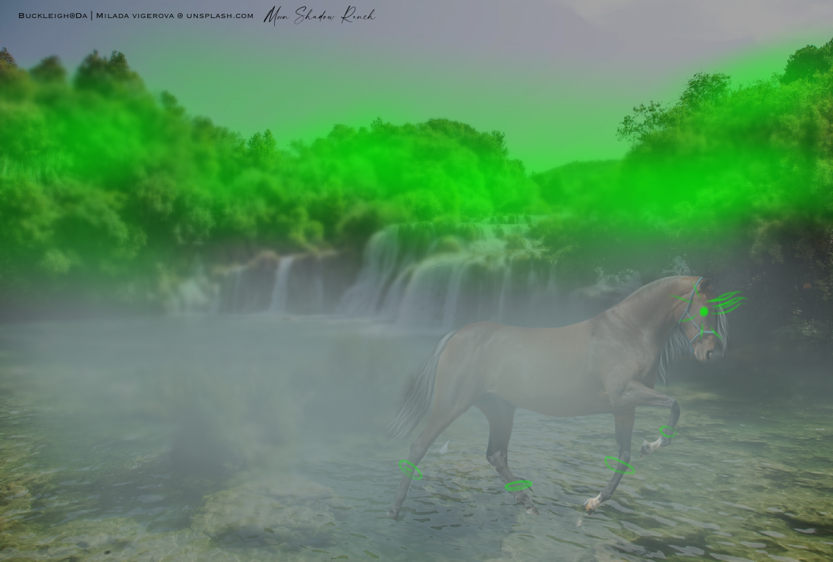48-D64-E63-0-DCD-4-CB7-9-F96-59-B828-CBB7-D7.png
