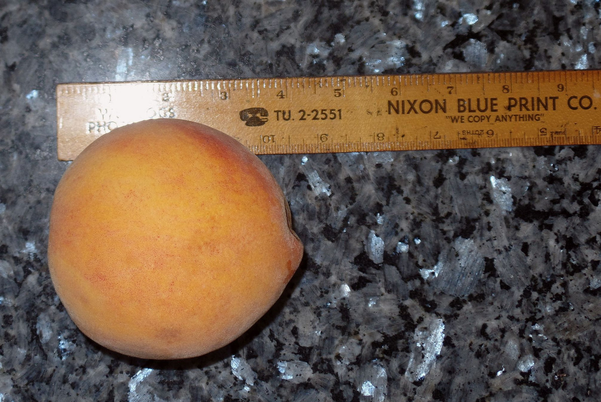 peach#2