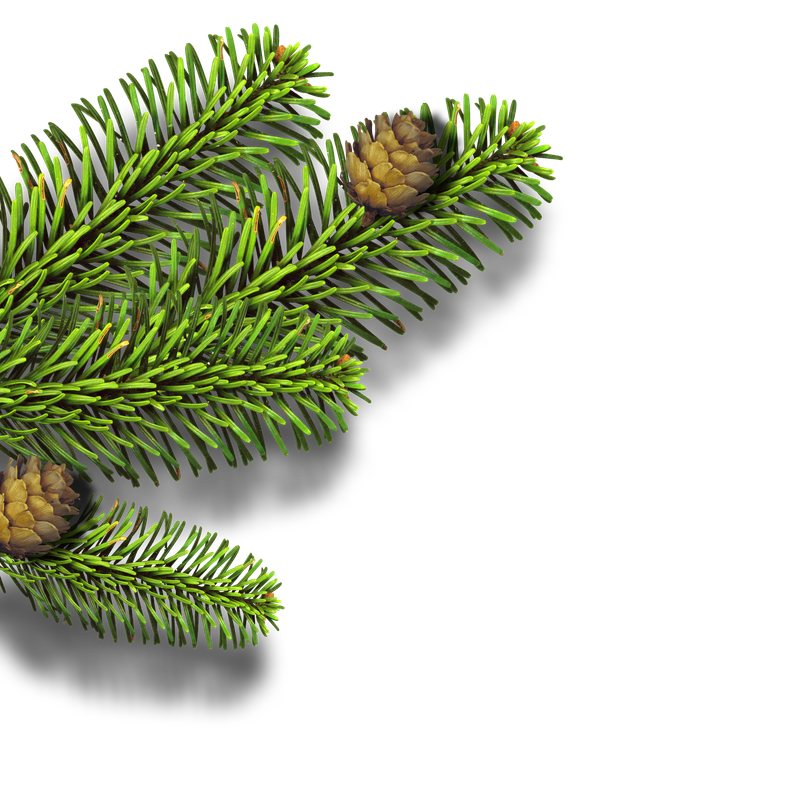 GJ_PUClusterJoyfulSnowman (16)