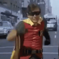 robin.gif