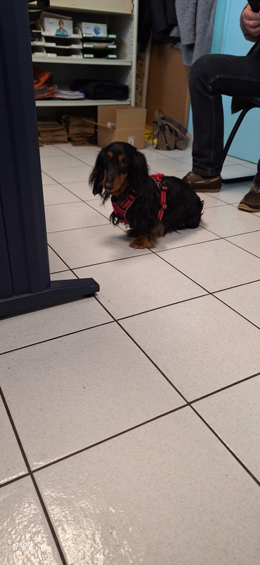 [Image: 20250215-143411.jpg]