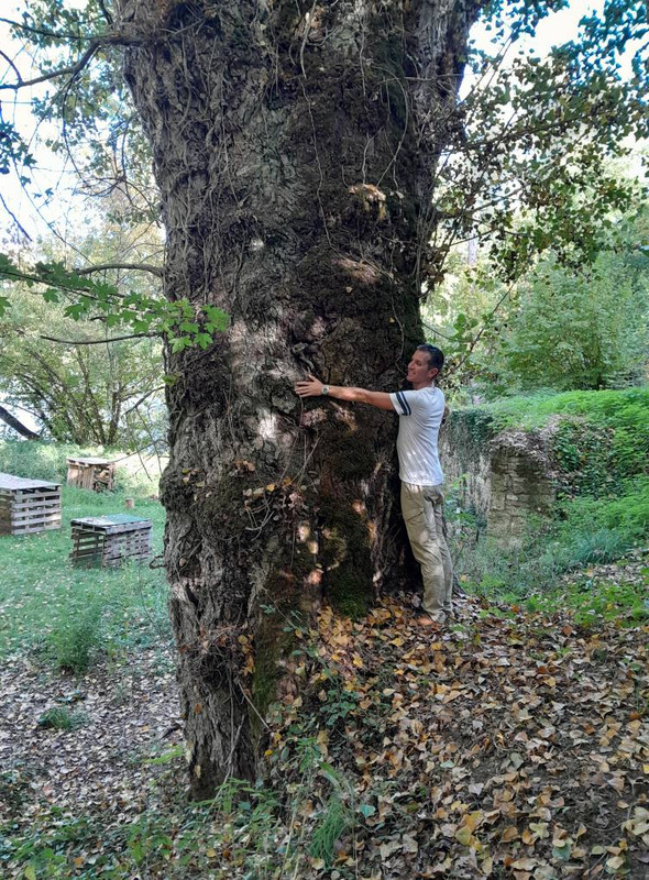 565354699-10163947957573984-135662356866