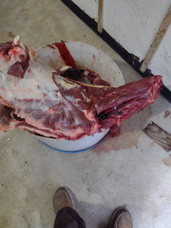 IMG_20221028_091120891