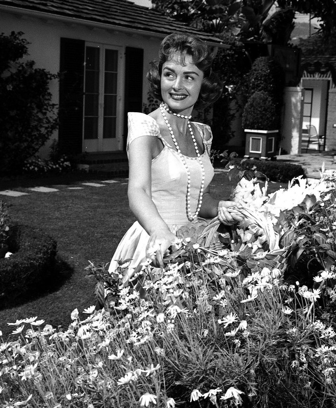donna_reed_b15