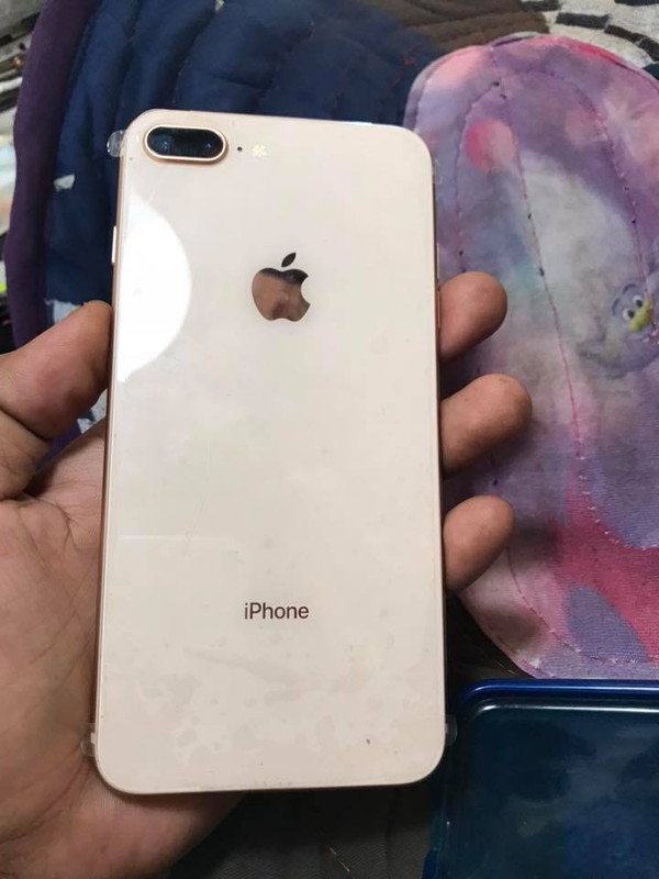 43652890-1848196691943641-3982552667674116096-n.jpg
