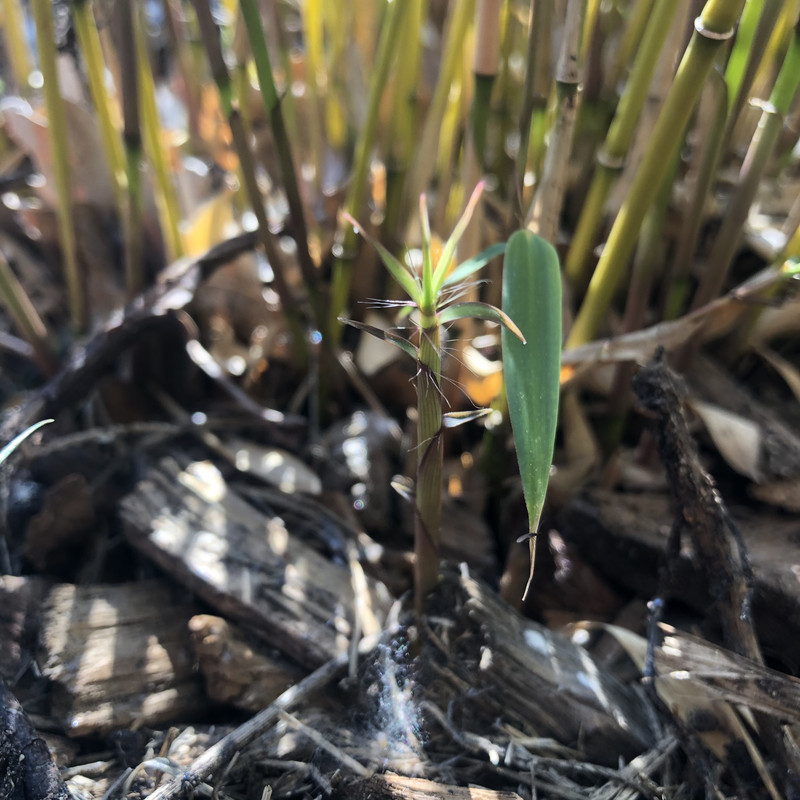 5680F034-93AC-4A29-8895-F6F32648AA13