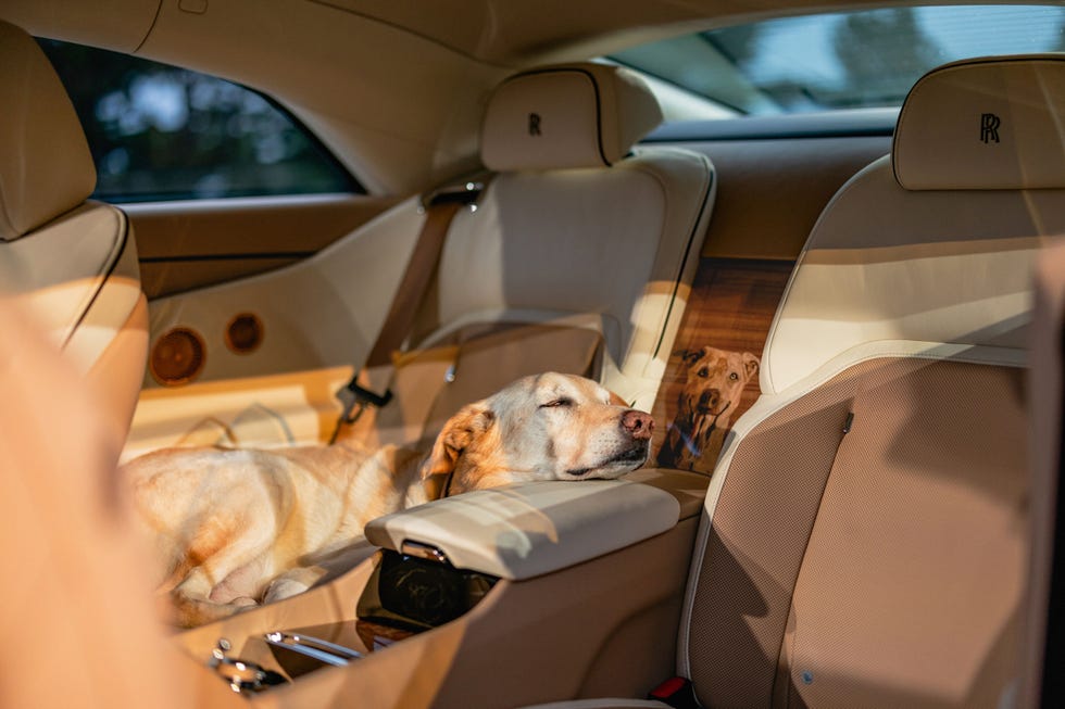 rolls-royce-spectre-bailey-5-68e003e371167.jpg