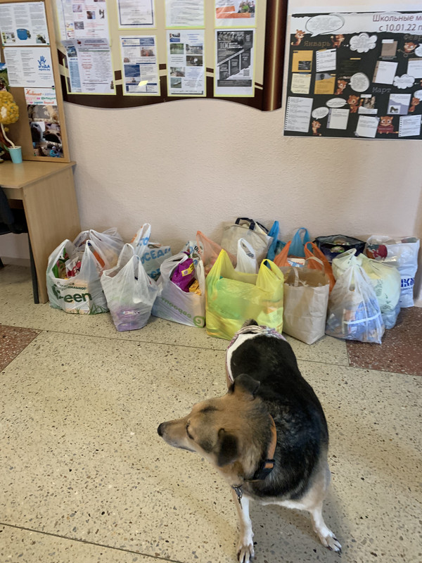 17DC735E-047A-433E-BF0E-8EA6A78DE6B0