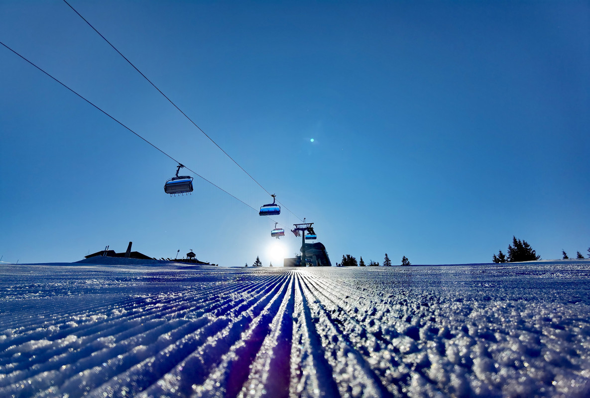 IMG_20220328_085004_1_edit_534654326281959