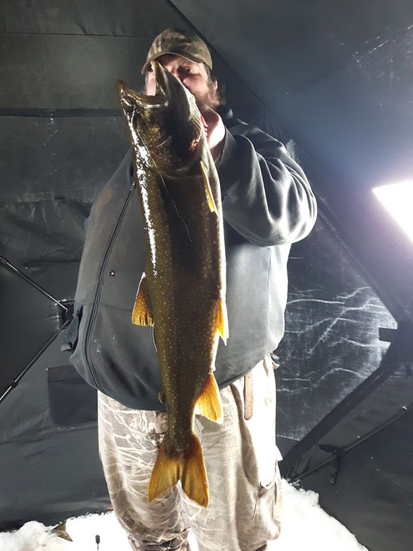 my  first  lake  trout