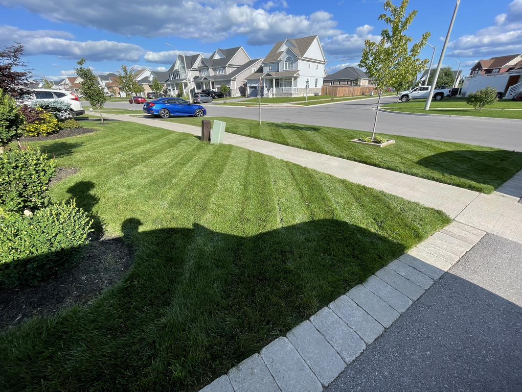 F62B127D-F378-4ADB-862A-AA1D37143052