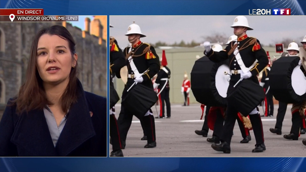 2021-04-16_20_00_TF1_Le-20h.mp4_snapshot_00.22.27.816