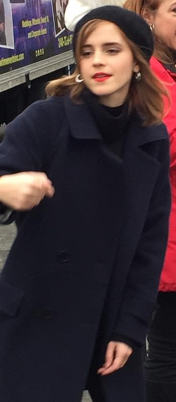 watsonuncensored.blogspot.com (18)