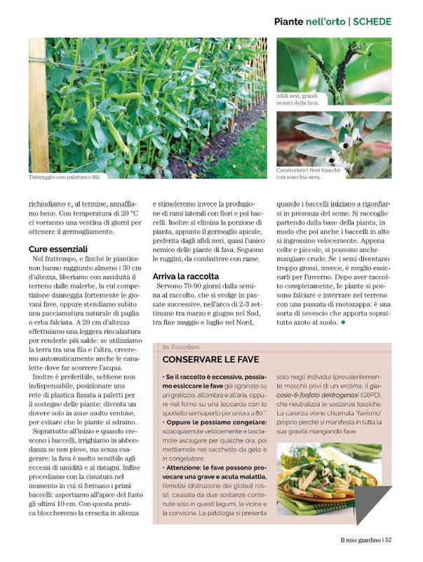 Il Mio Giar Dic 2022-Gen 2023 (10)