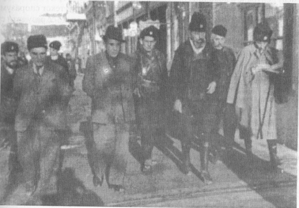 [Слика: pecanac-jpg-thumb.png]