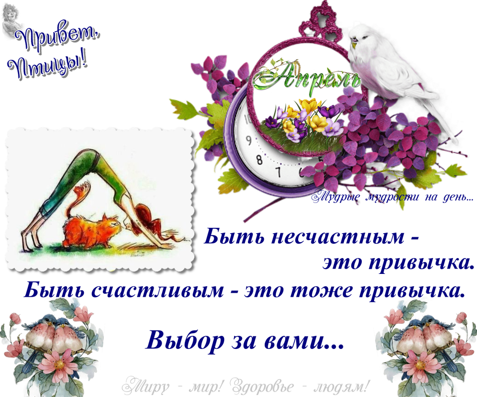 https://i.postimg.cc/NjqV9SwD/22-04.png