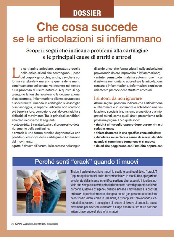 Cur Mang Dic 2025 Gen 2026 (5)