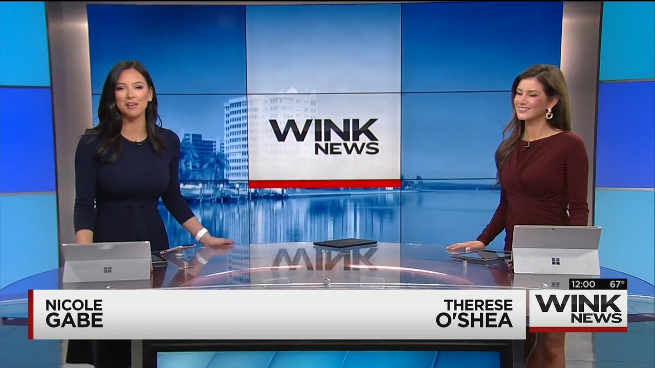 01.18 - 17.00.00 - WINK Noon News..mts_snapshot_02.59.436