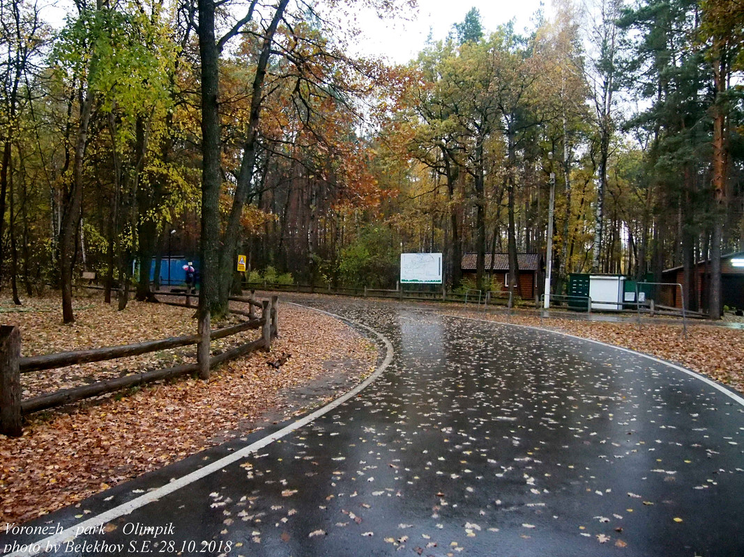 Воронеж, осень, парк