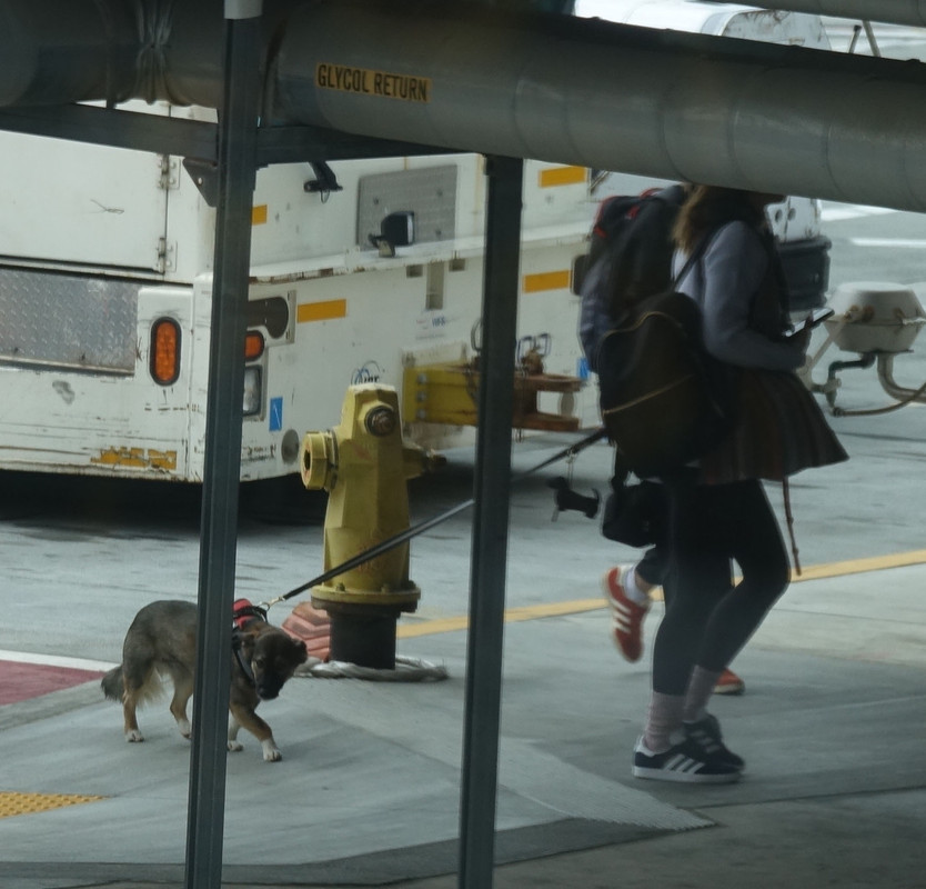 emmawatson-photogallery.blogspot.com (11)