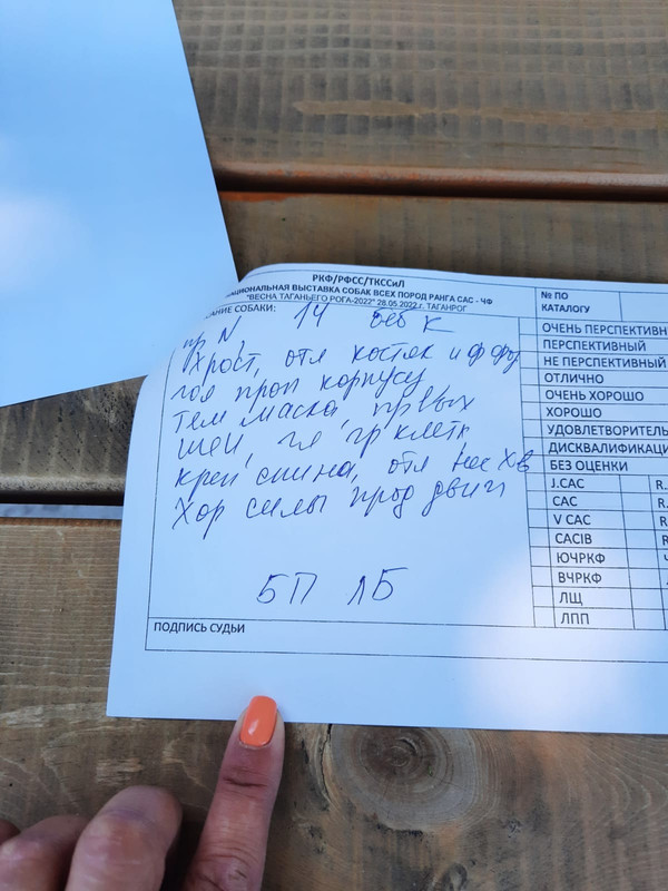 281490958_7532475823490385_195795761579866144_n (1)