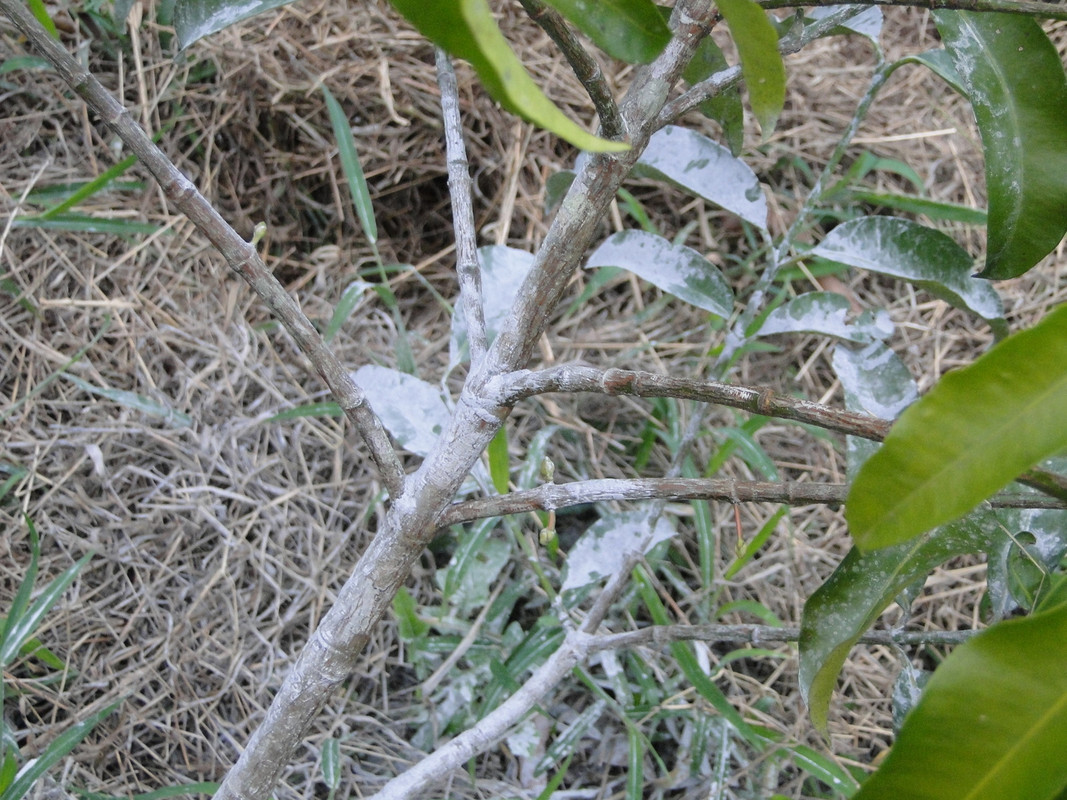 DSC00391