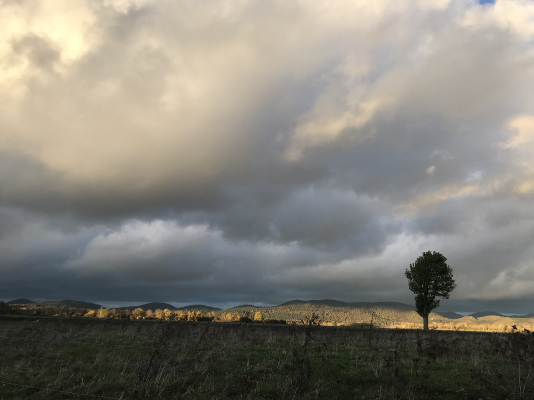 C1B341DF-0449-4DBC-9766-6979B9D0C3EA