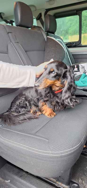 [Image: 20250831-145637.jpg]