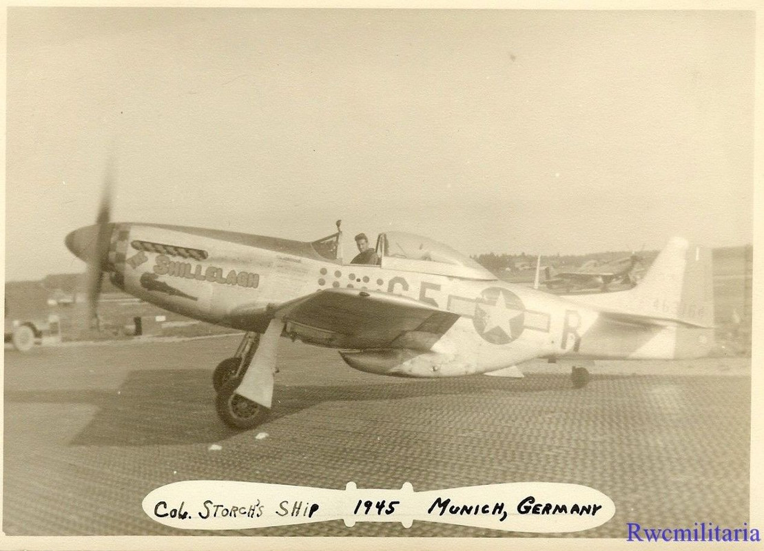 357th Fighter Group P-51 Fighter Plane (#44-63164)