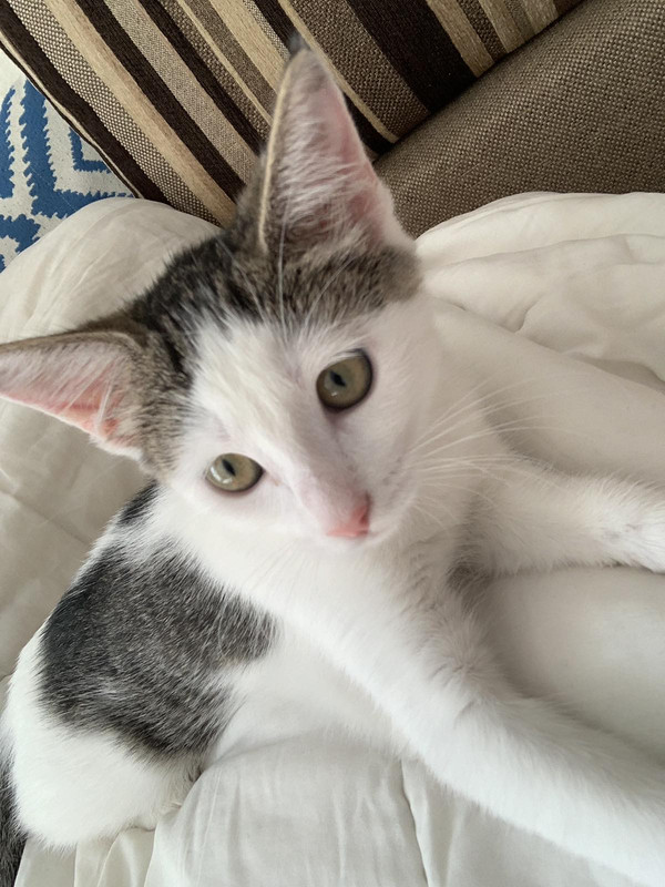 IMG-540d192f5beece4b489c3356a94bb236-V